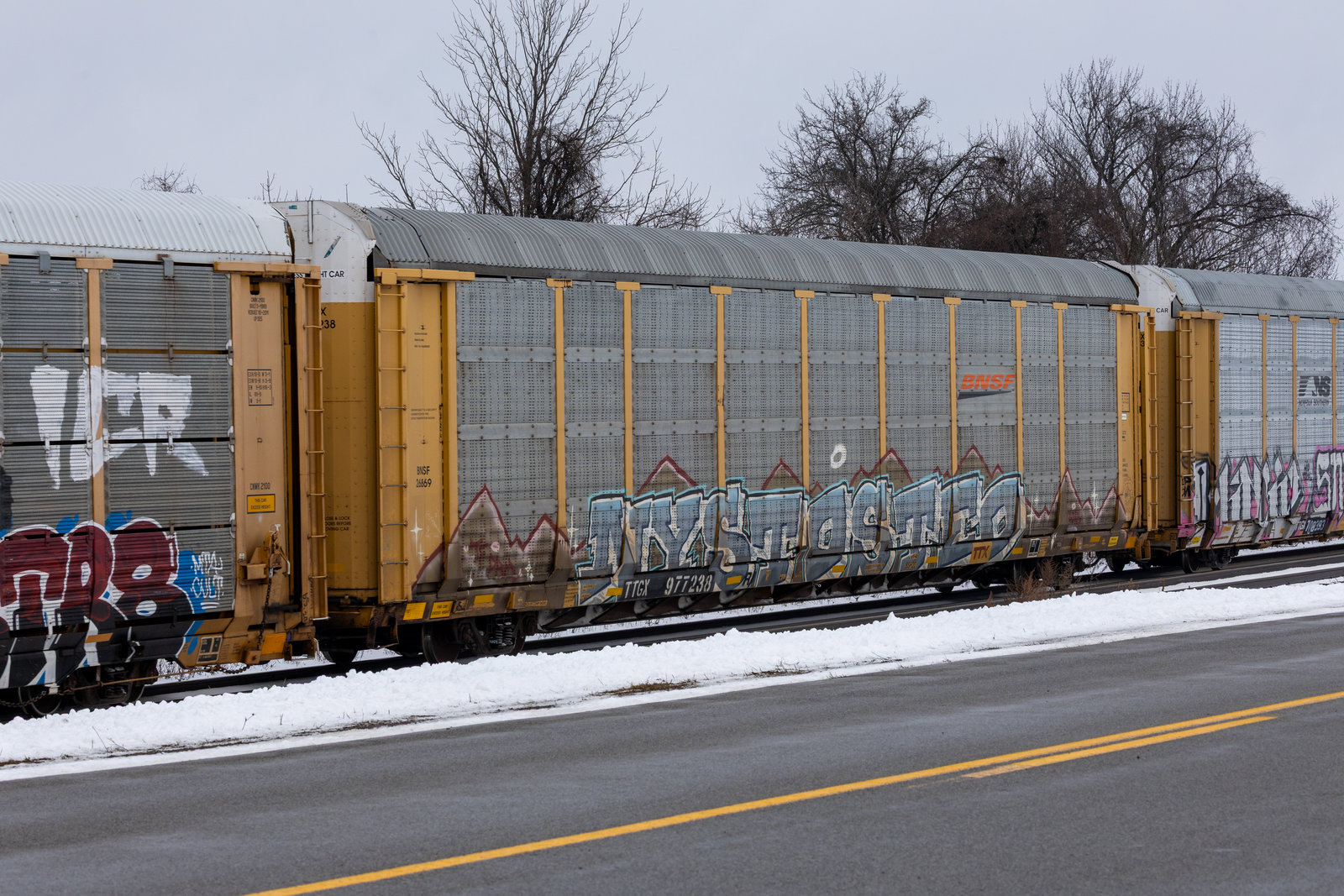 TTGX 977238