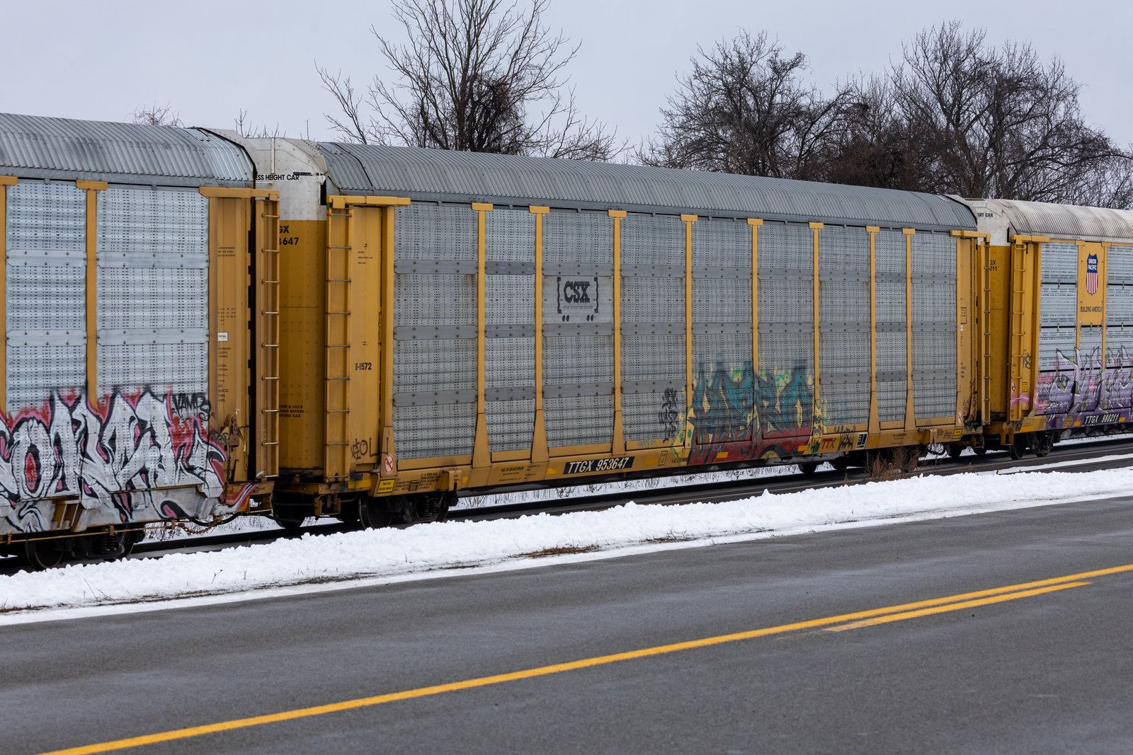 TTGX 953647