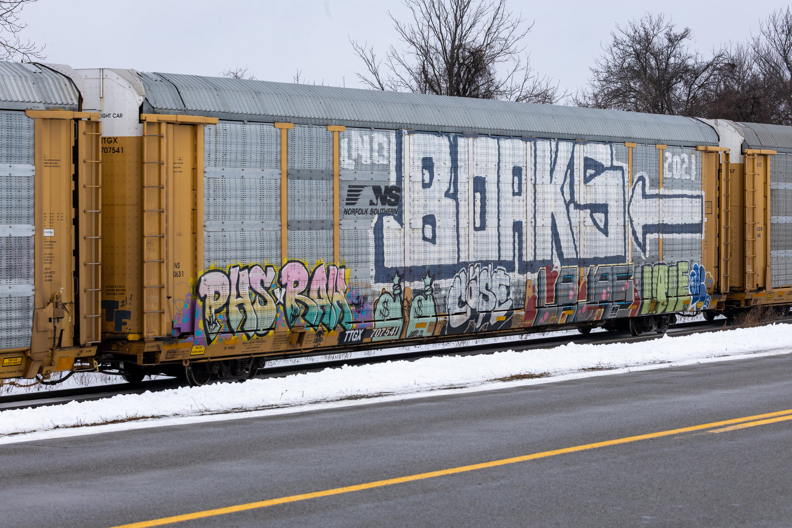 TTGX 707541