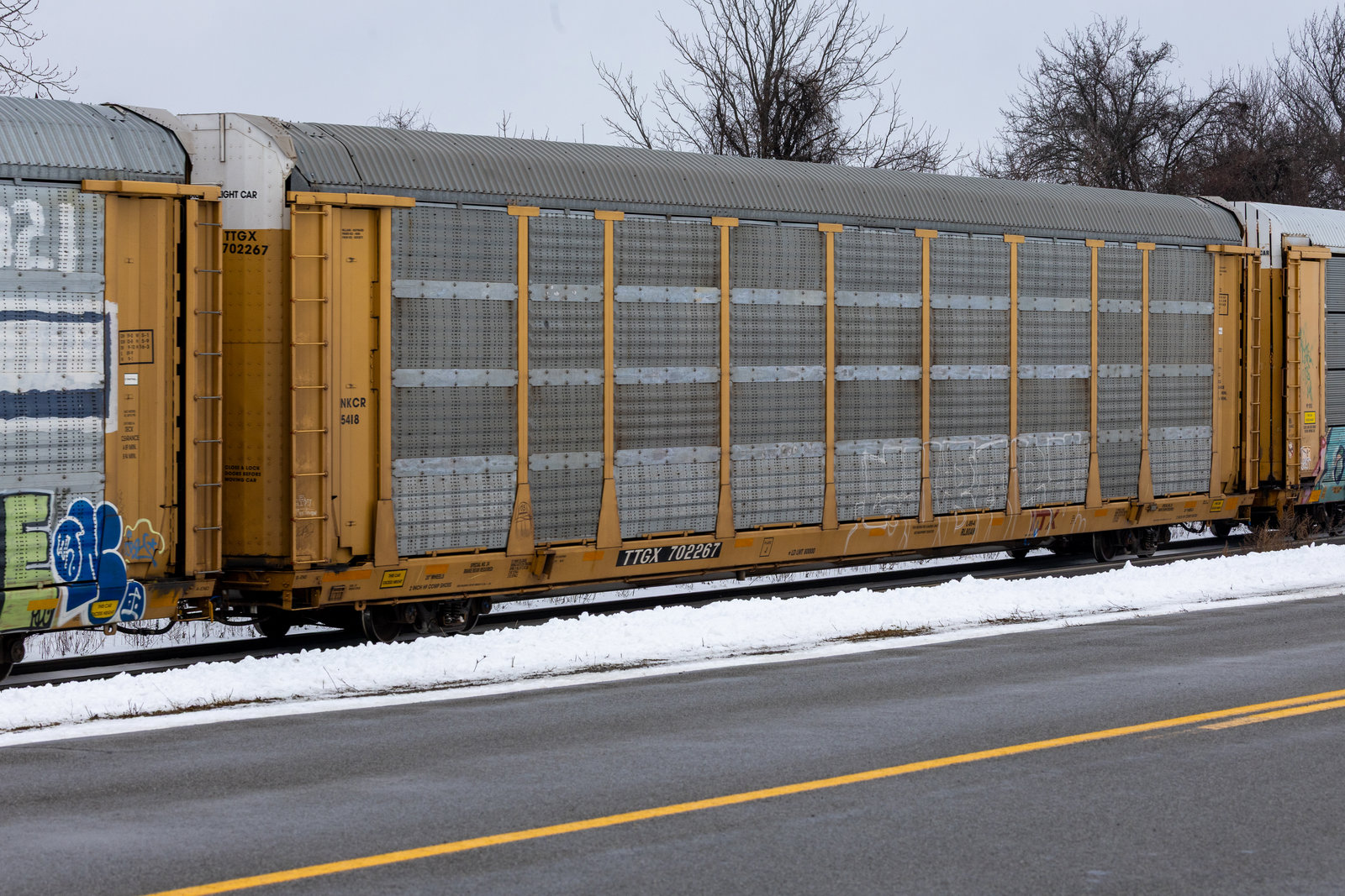 TTGX 702267