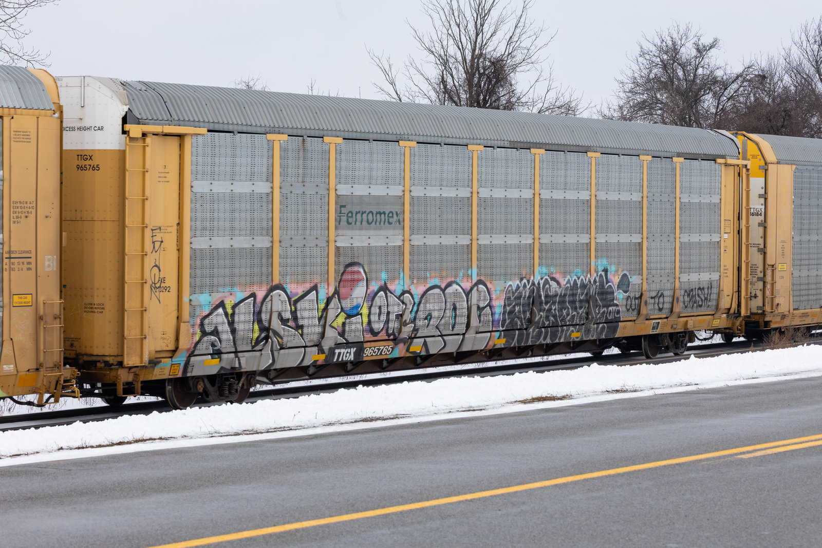 TTGX 965765