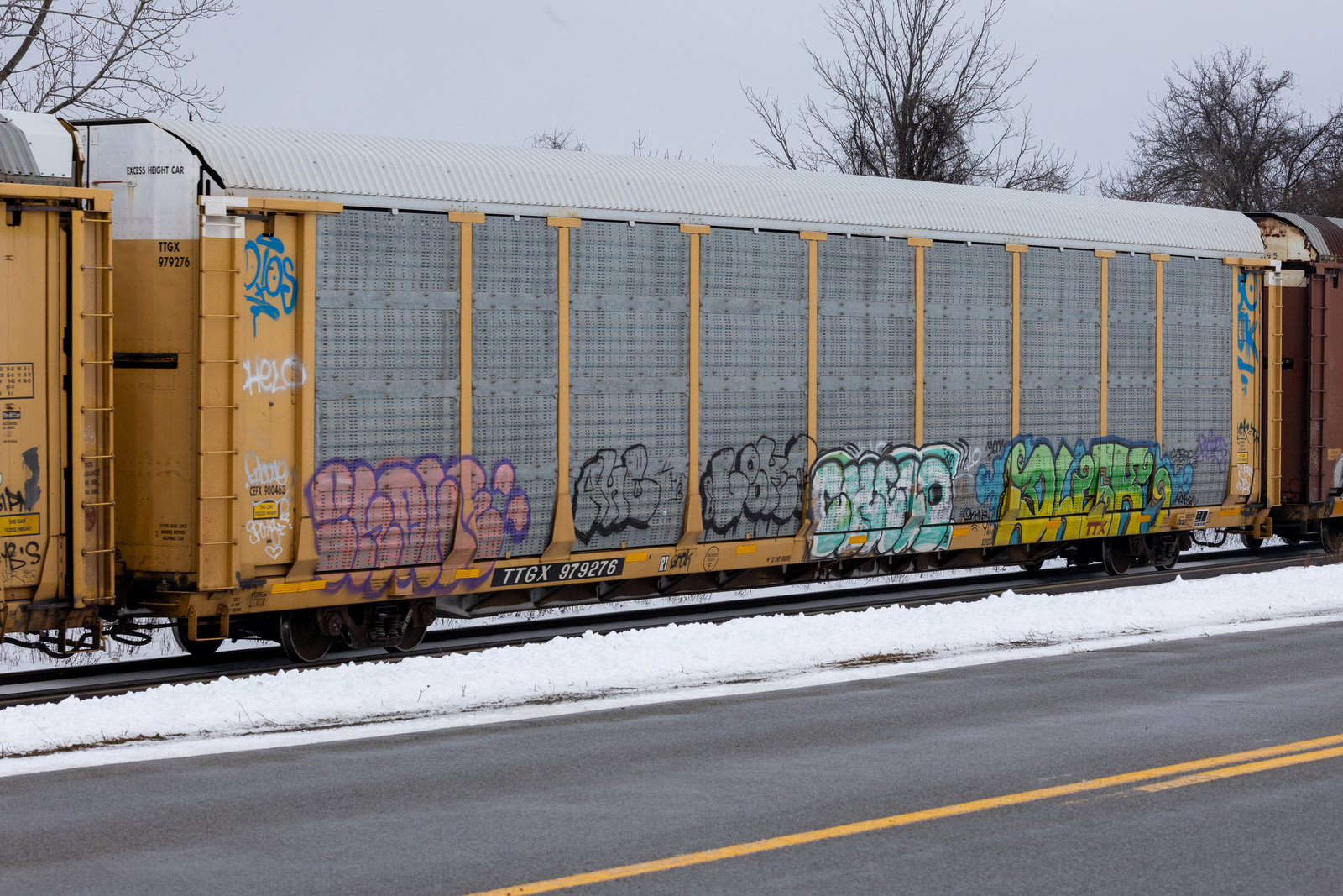 TTGX 979276