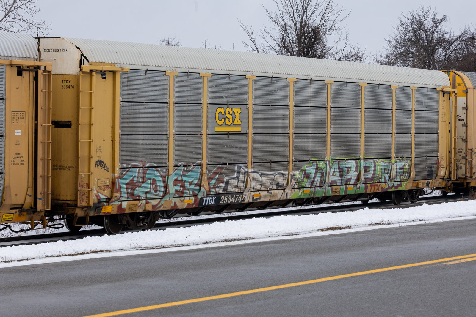TTGX 253474