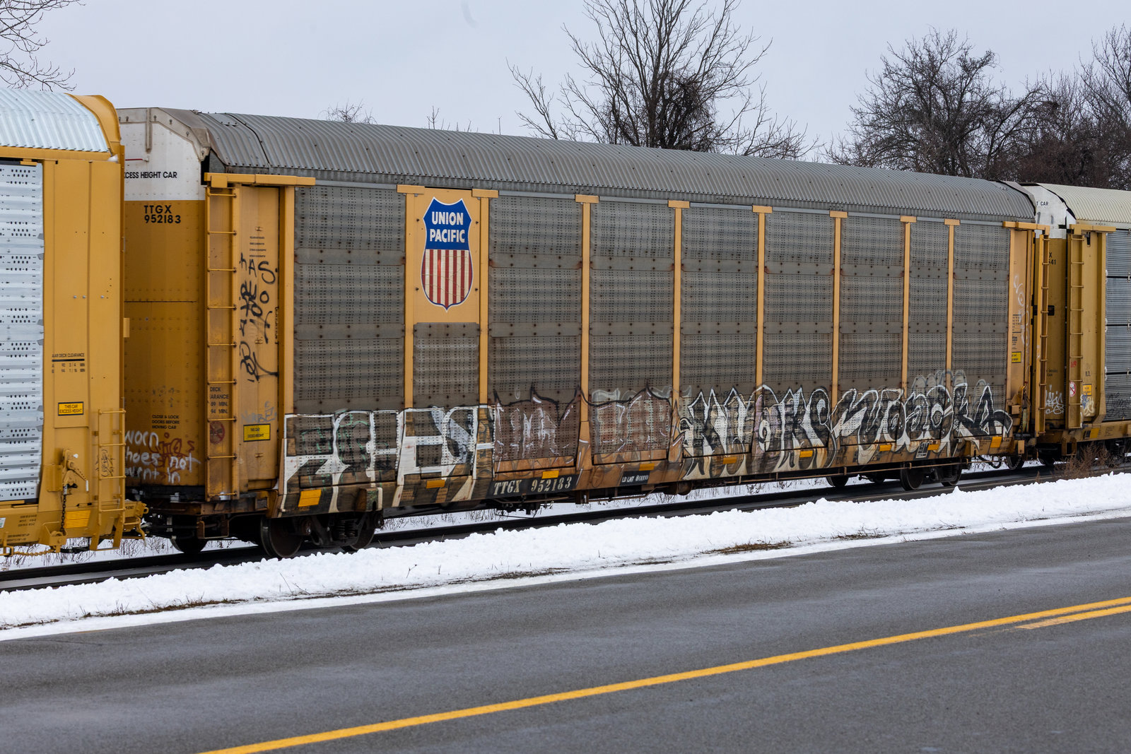 TTGX 952183