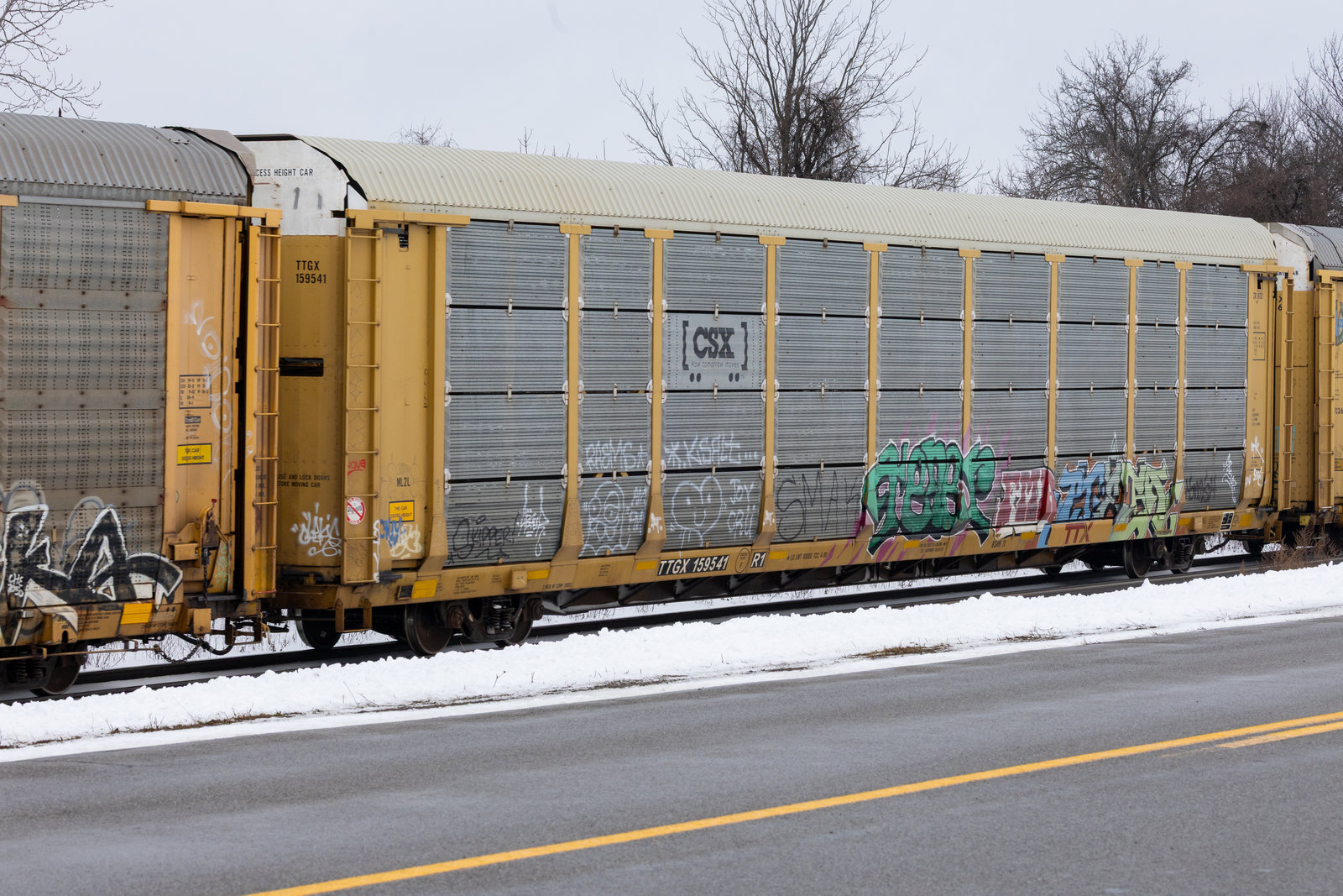 TTGX 159541