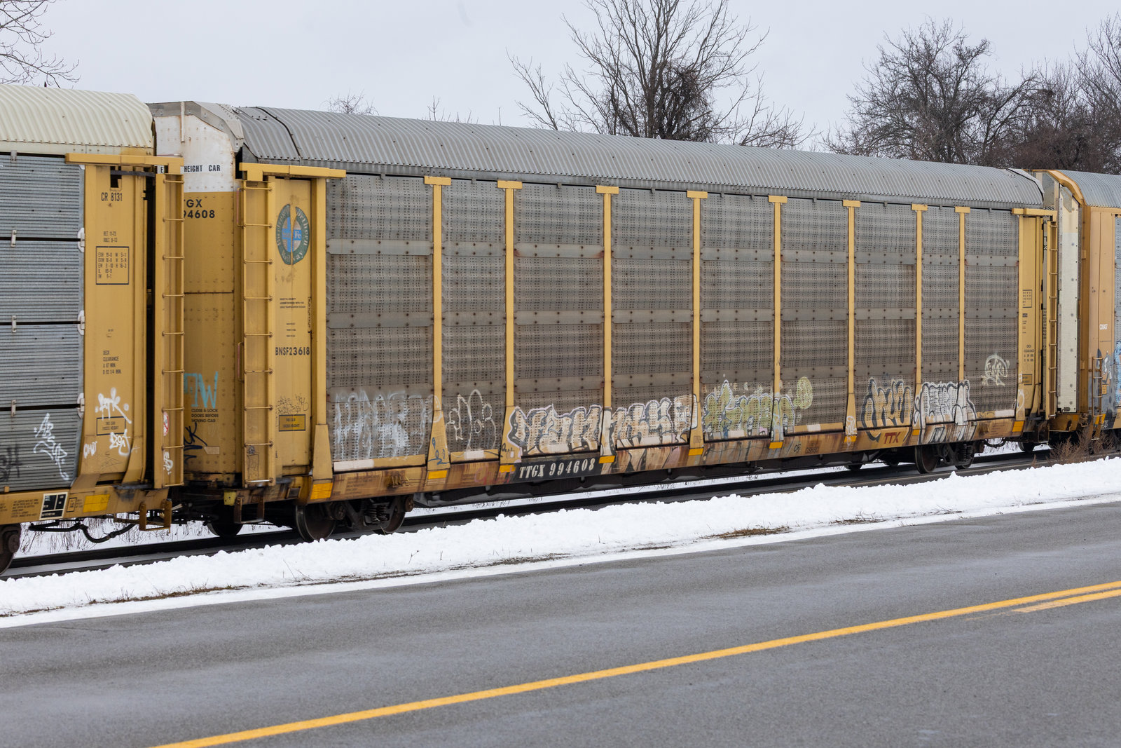 TTGX 994608