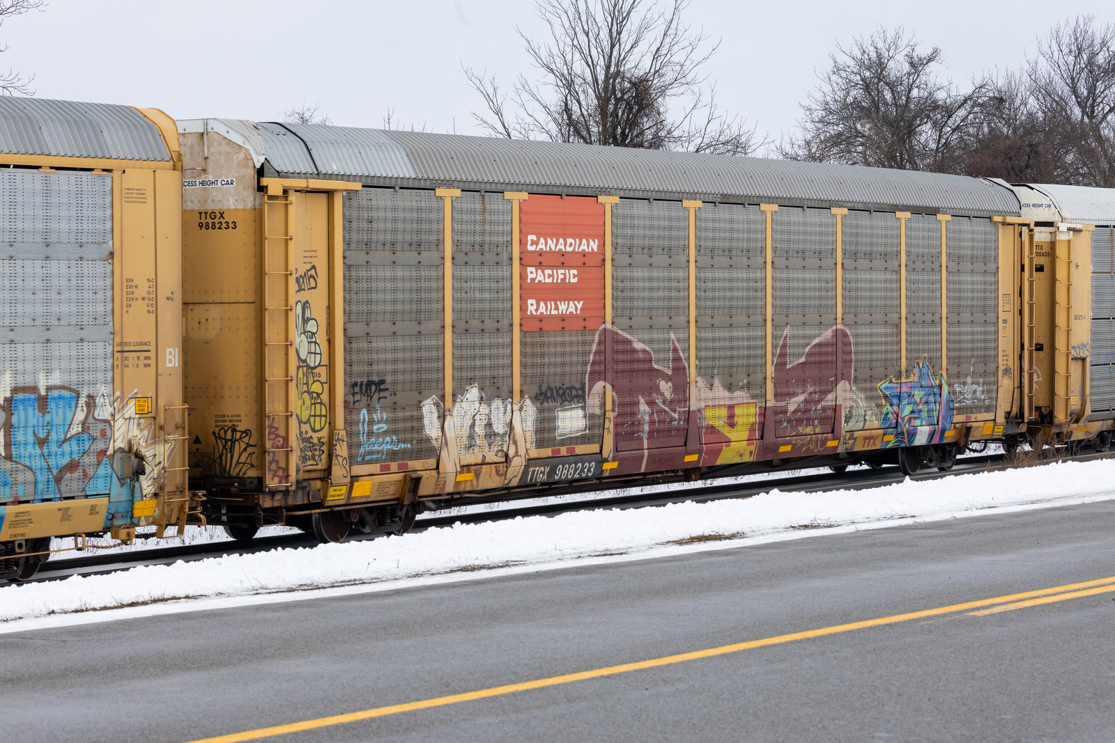 TTGX 988233