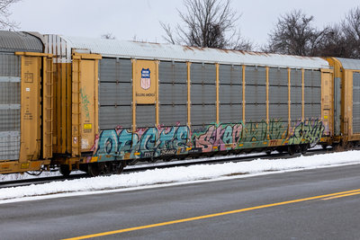 TTGX 254482