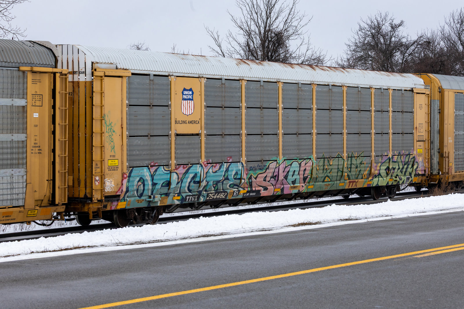 TTGX 254482