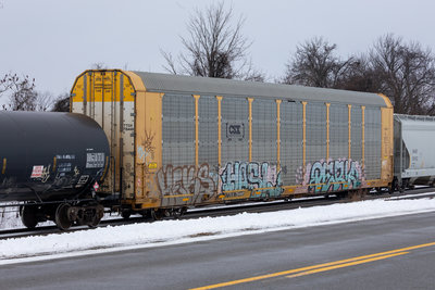 TTGX 715448