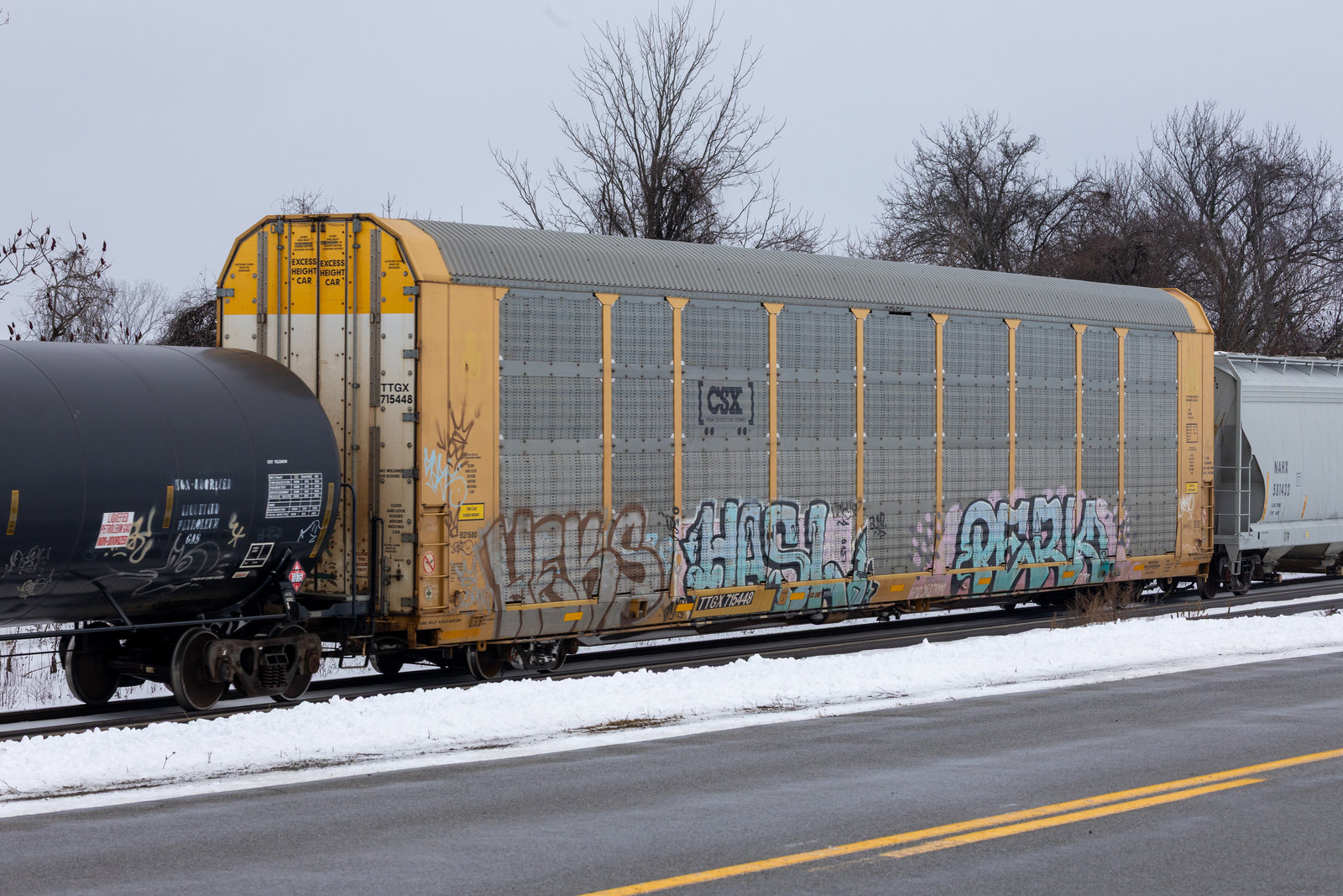 TTGX 715448