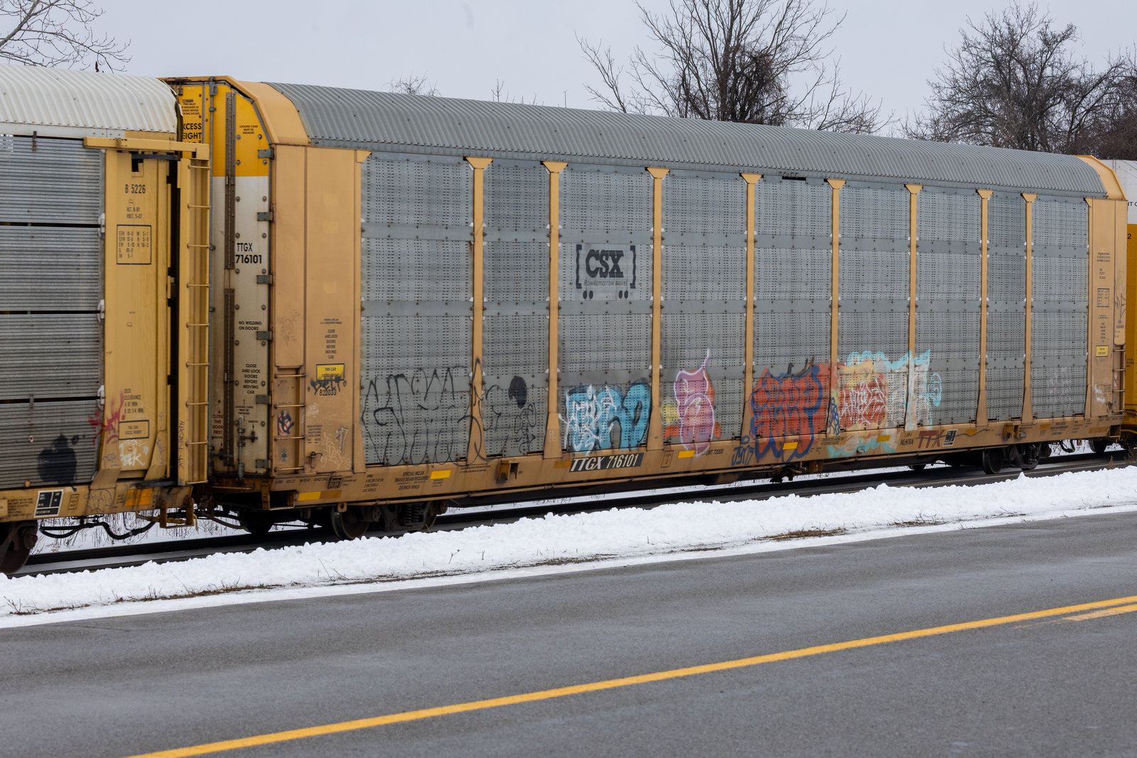 TTGX 716101