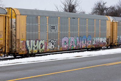 TTGX 715674