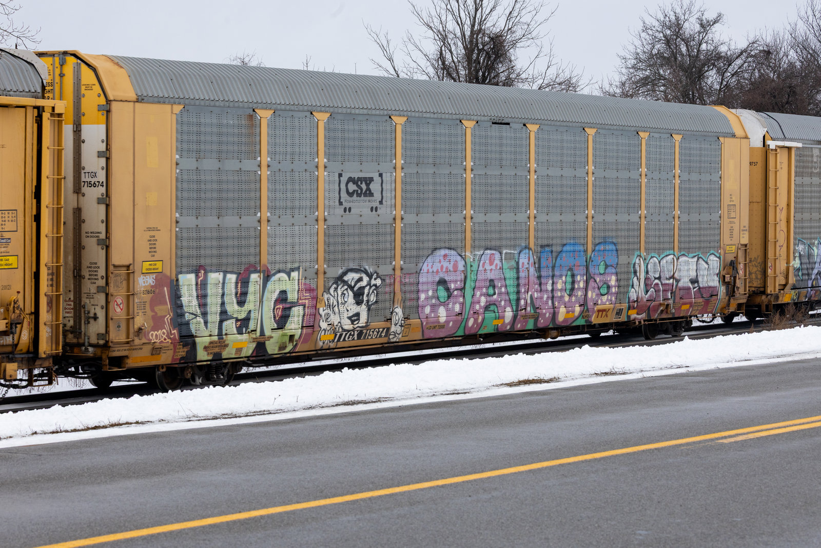 TTGX 715674