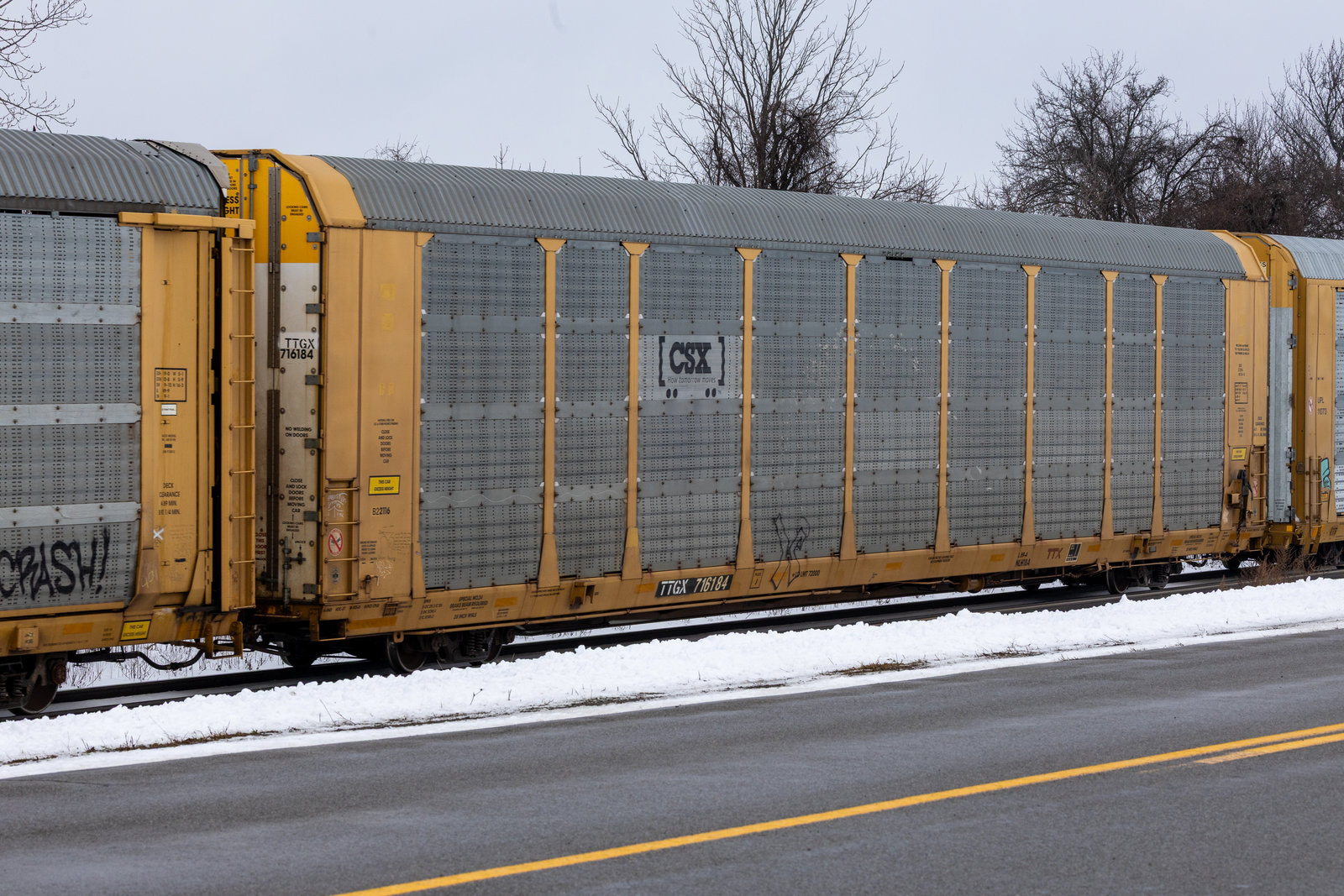 TTGX 716184