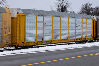 TTGX 709782