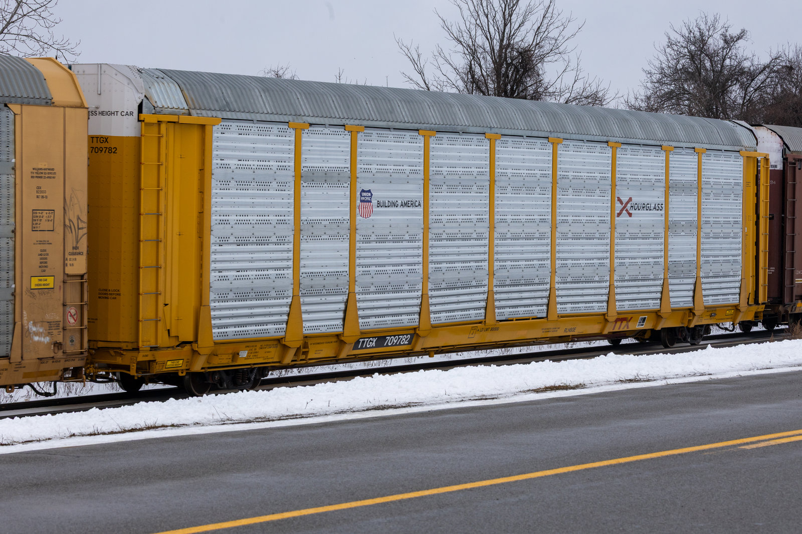 TTGX 709782