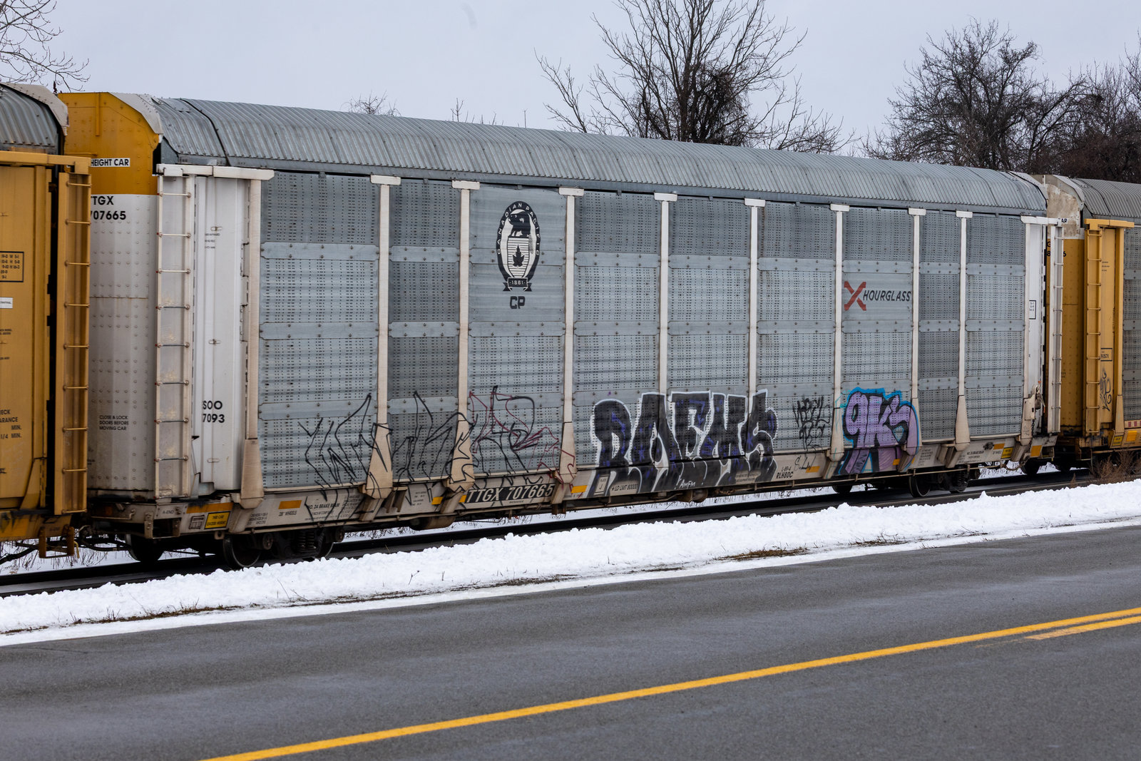 TTGX 707665