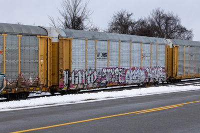TTGX 708393