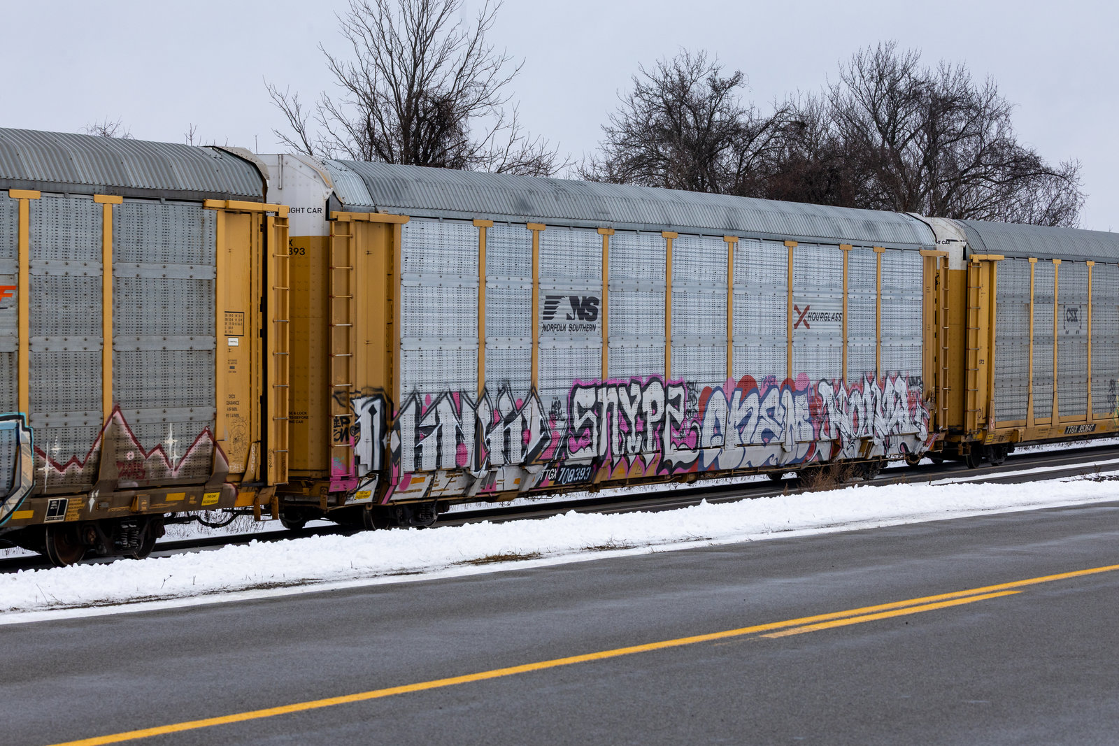 TTGX 708393