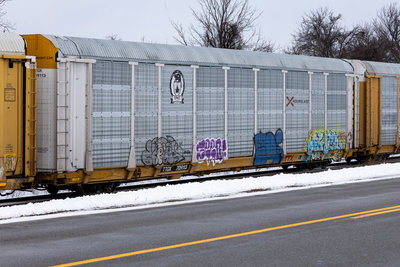 TTGX 709113