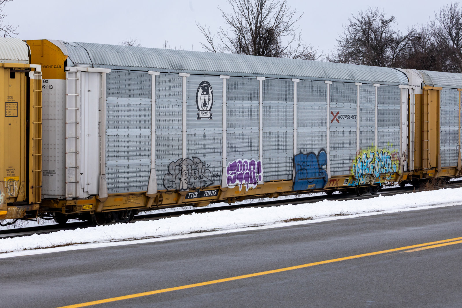 TTGX 709113