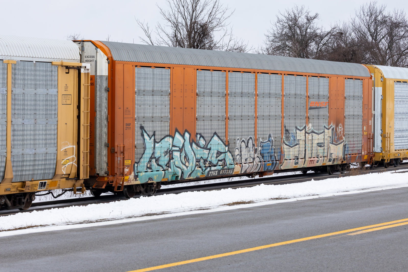 TTGX 693395