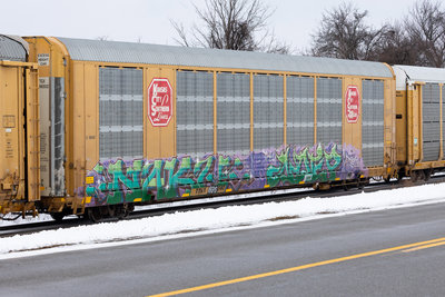 TTGX 696502
