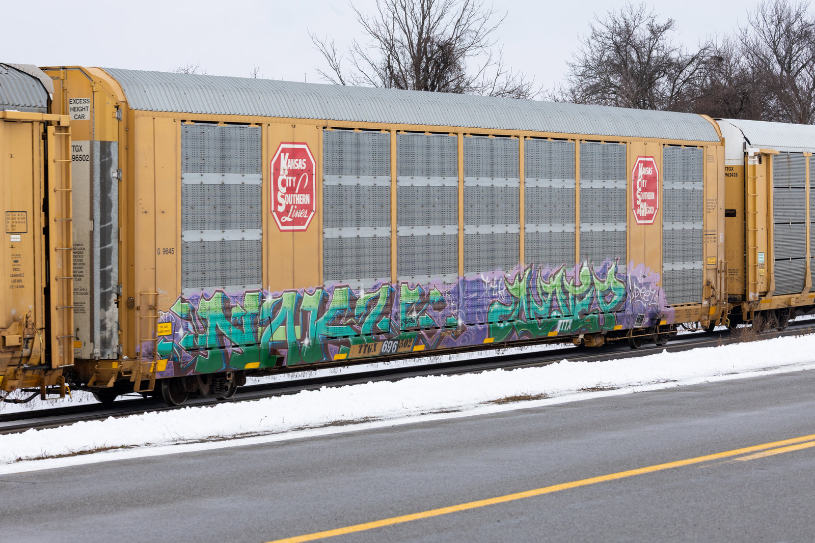 TTGX 696502