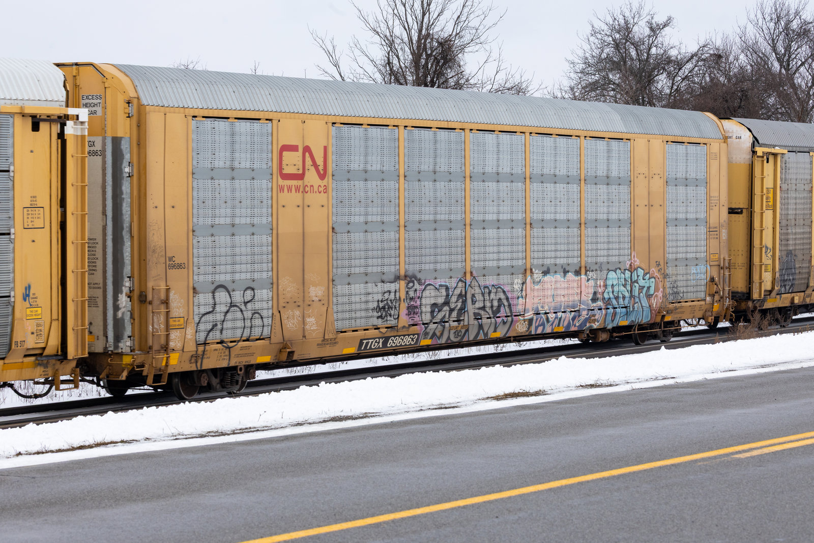 TTGX 696863