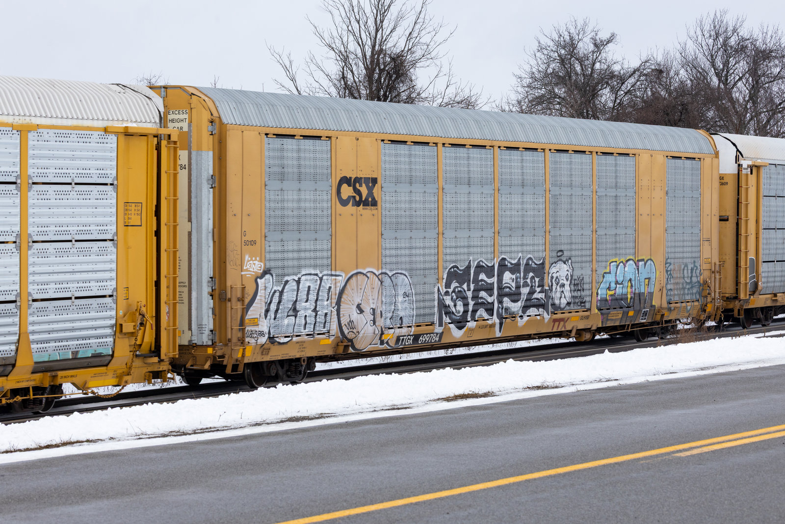 TTGX 699784