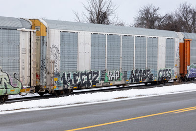 TTGX 698228