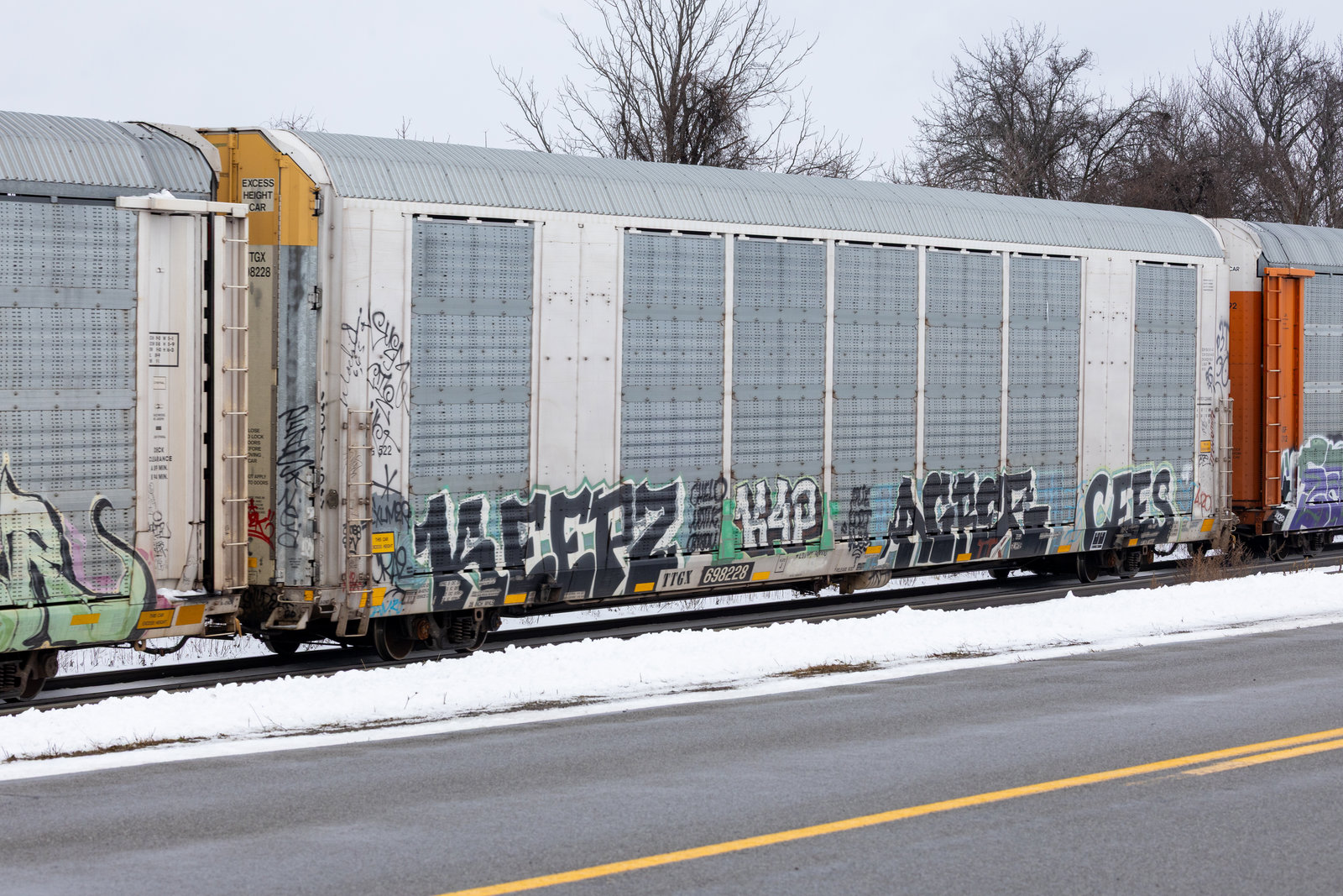TTGX 698228