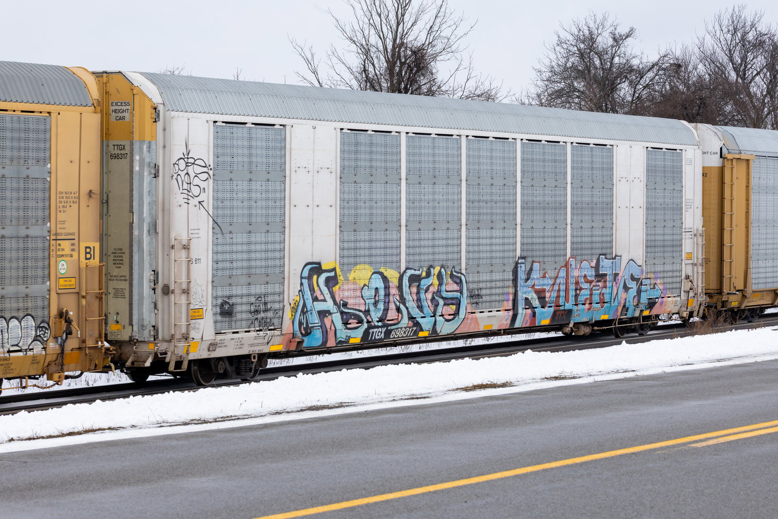 TTGX 698317