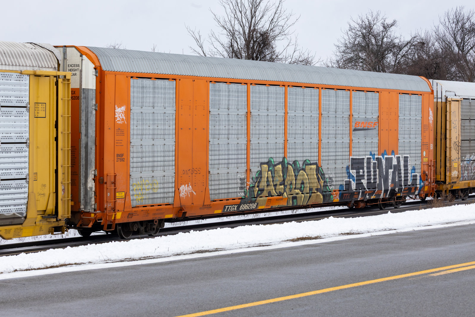TTGX 696208
