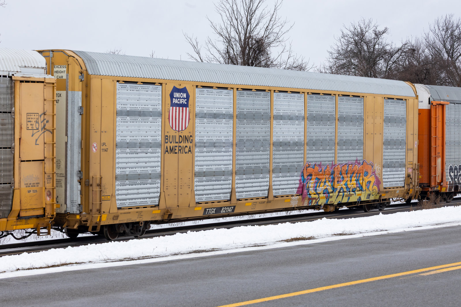 TTGX 821147