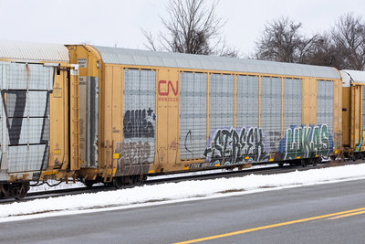 TTGX 696983