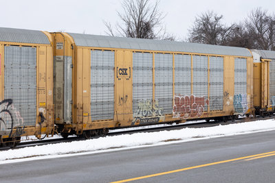 TTGX 695426