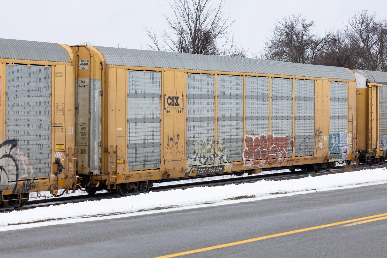 TTGX 695426