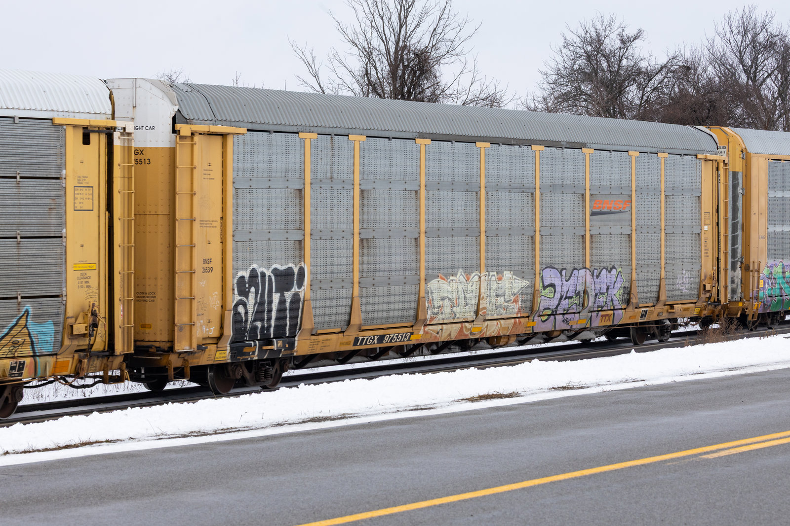 TTGX 975513