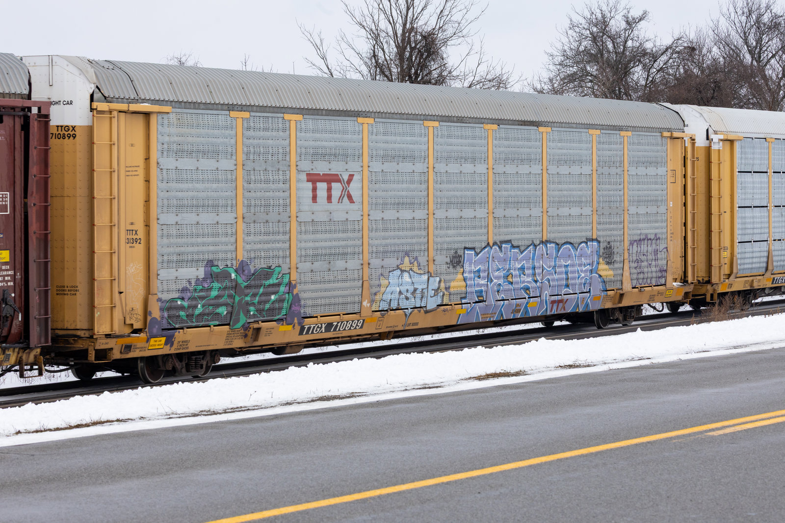 TTGX 710899