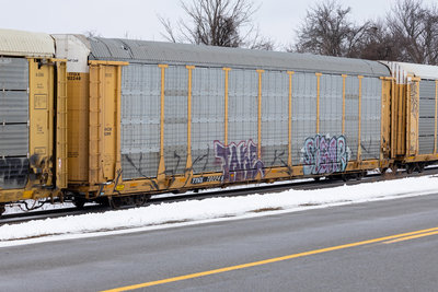 TTGX 702248