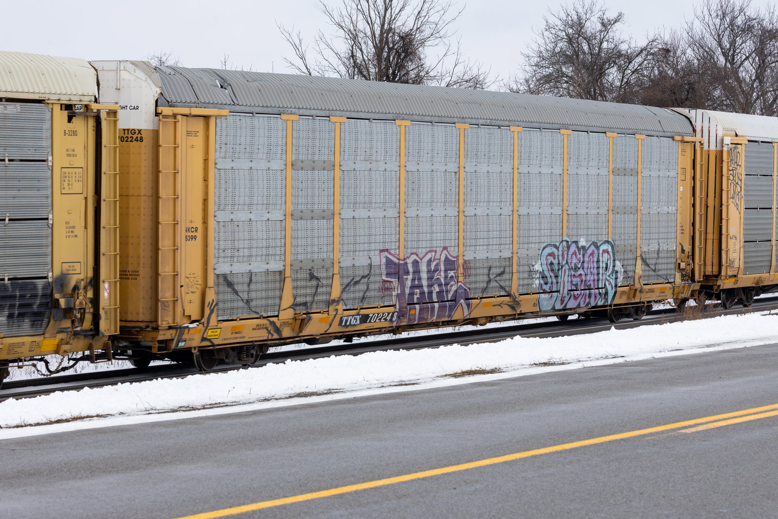TTGX 702248