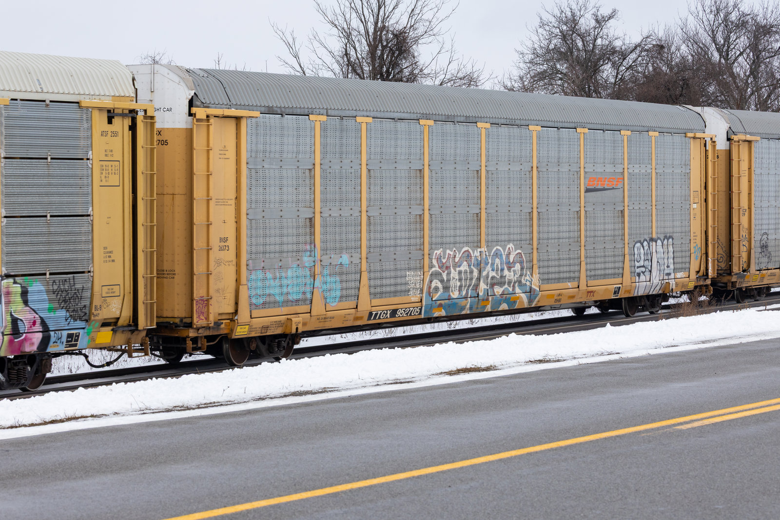 TTGX 952705