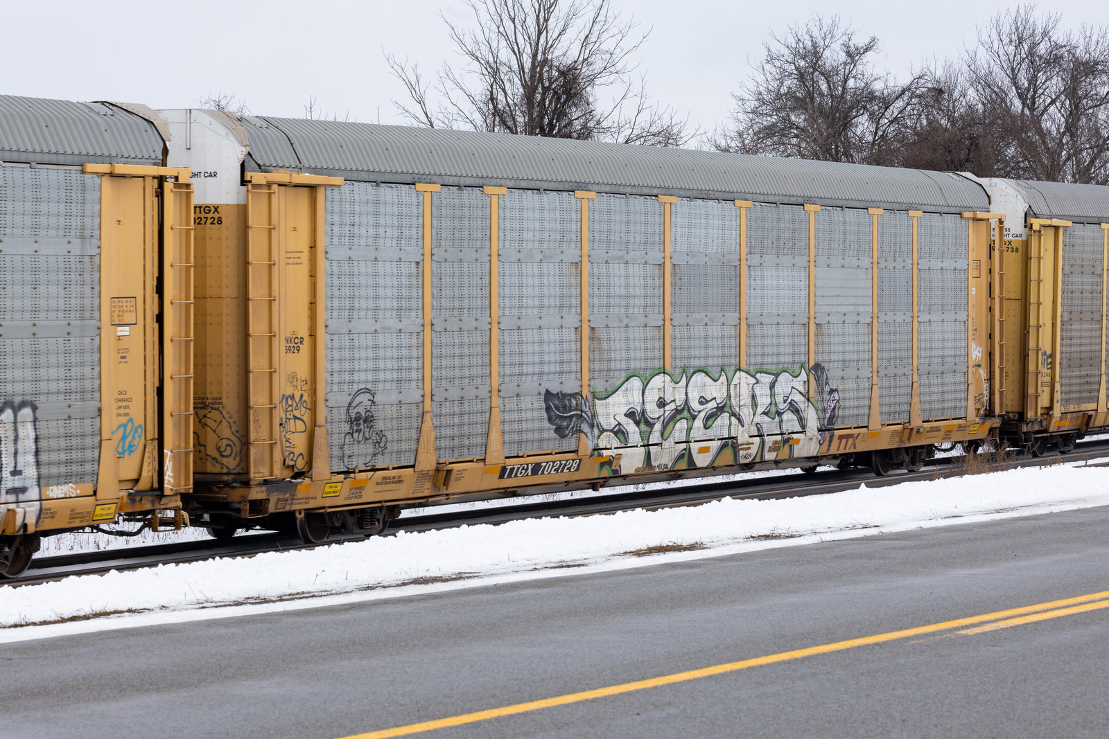 TTGX 702728
