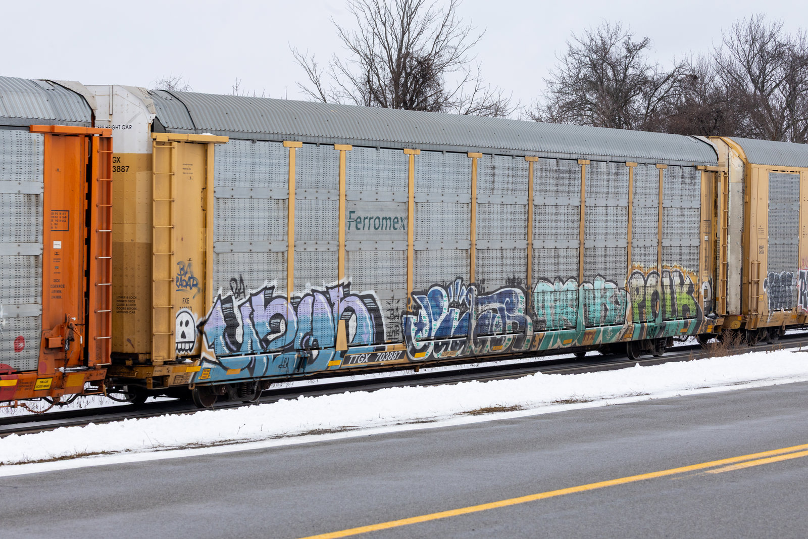 TTGX 703887