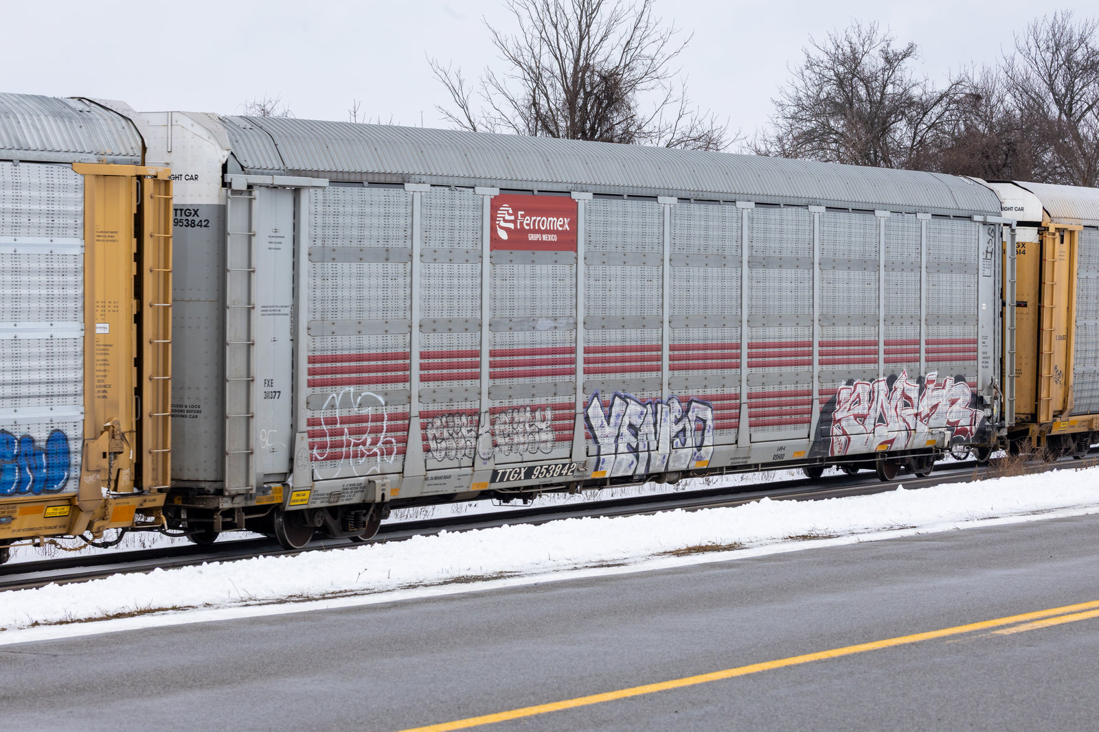 TTGX 953842