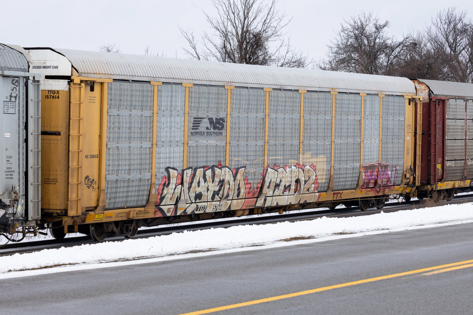 TTGX 157614