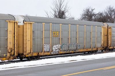 TTGX 922216