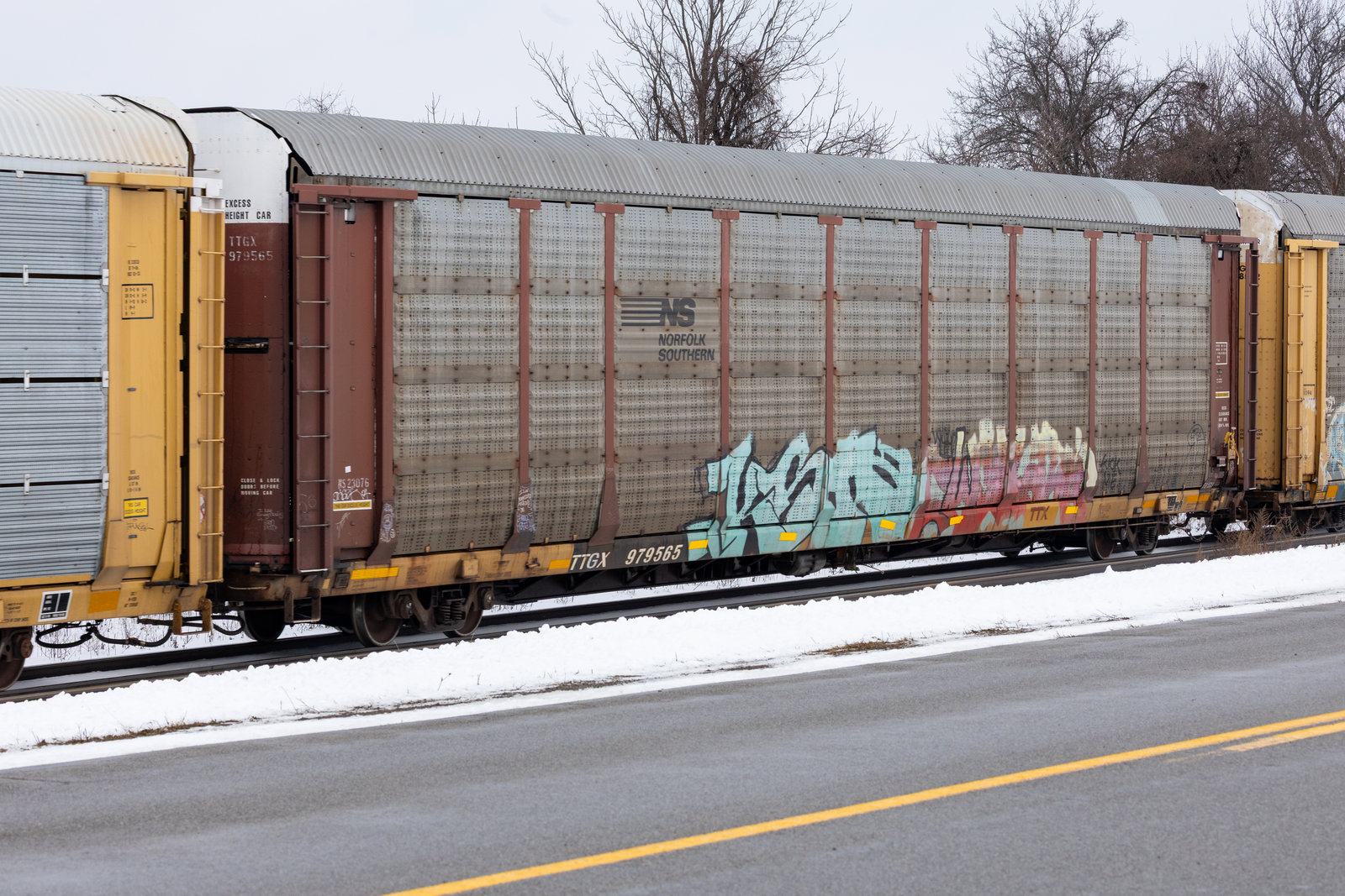 TTGX 979565